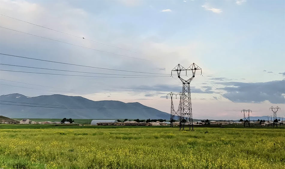 Agriculture industry of Armenia